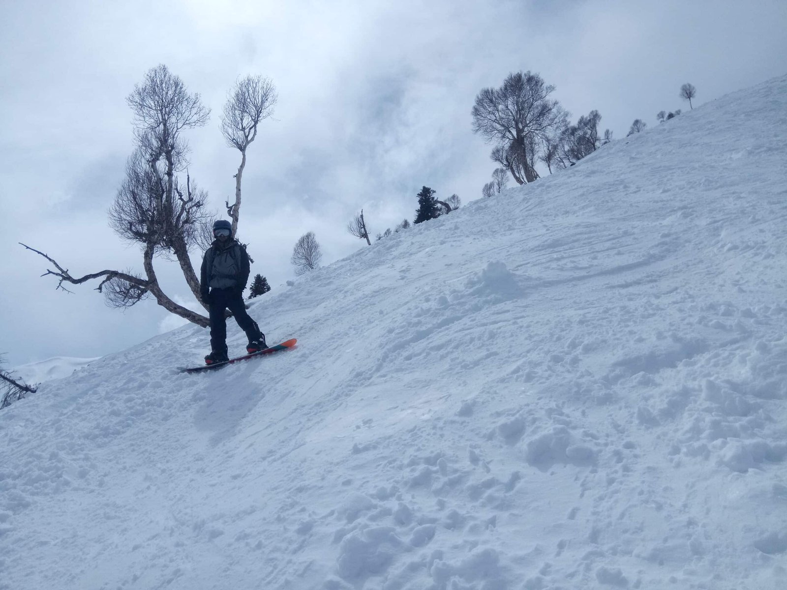 Snowboarder standing on a snowy slope in Gulmarg with bare trees around