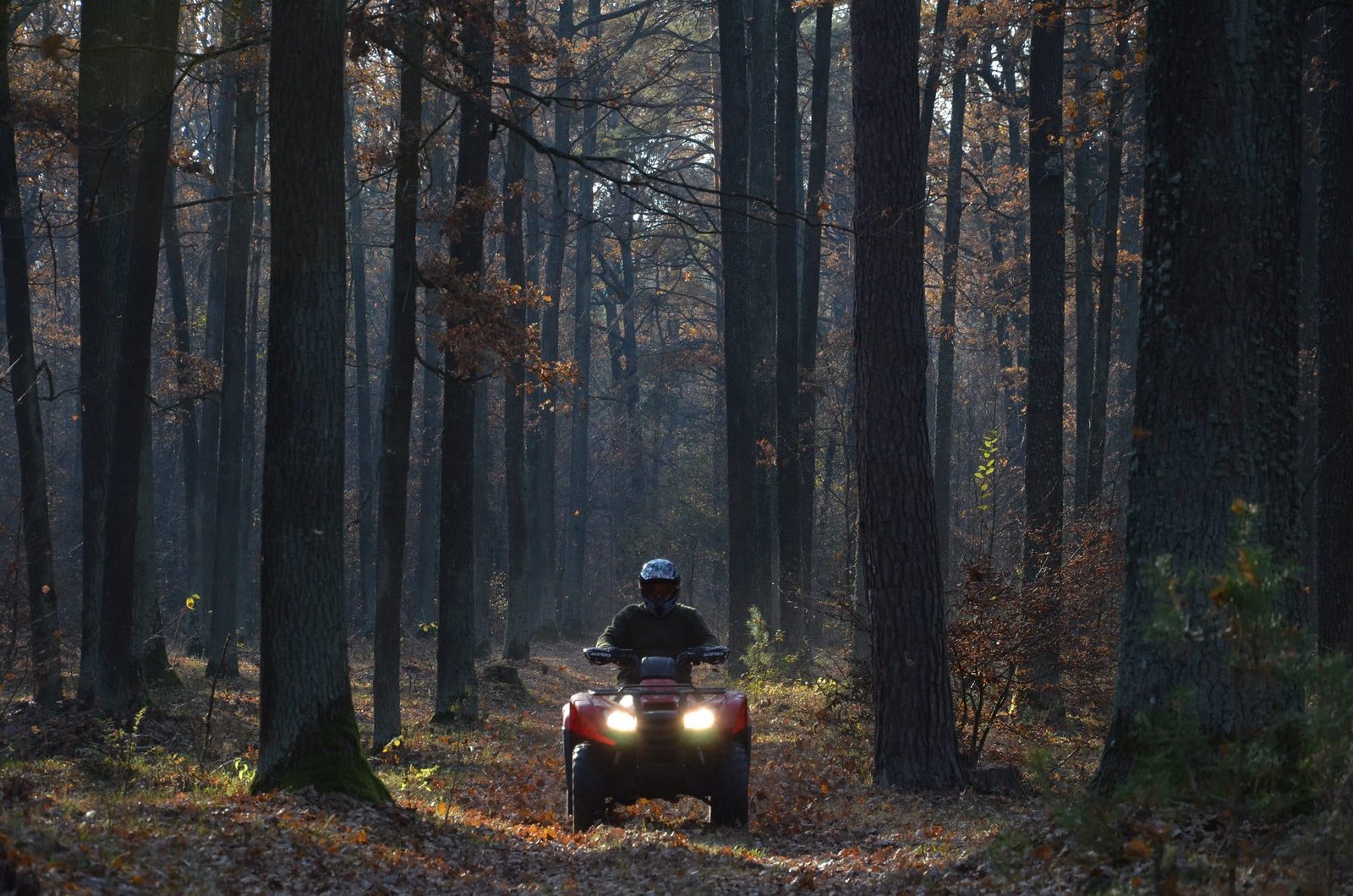 one people is driving atv in the dense forest in gulmarg