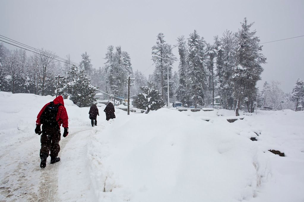People walking on a snow-covered path through a forest in heavy snowfall