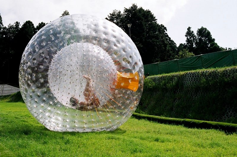 A person is zorbing inside a large transparent inflatable ball, rolling down a grassy slope with trees and barriers in the background