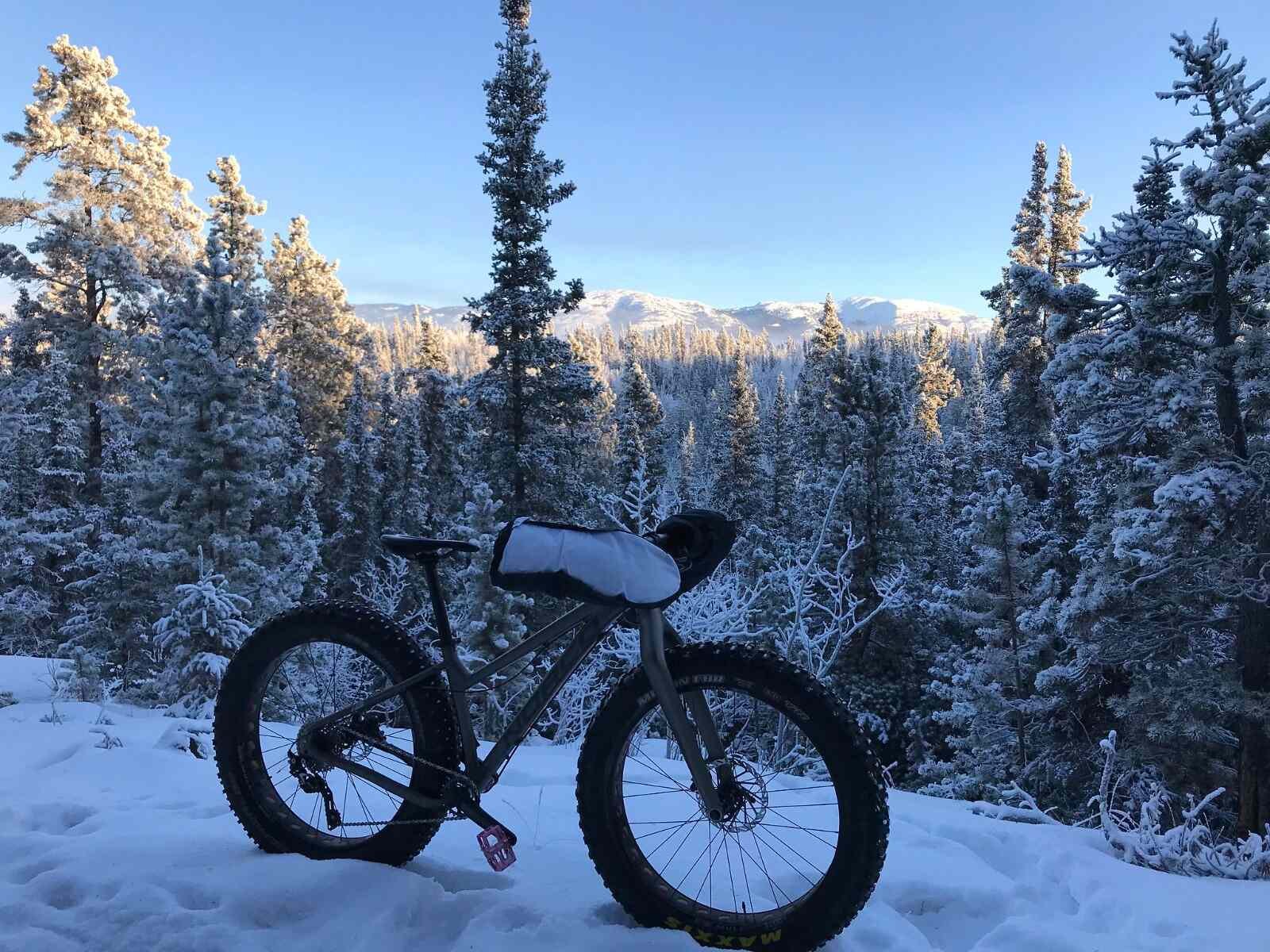 a bicycle is parked in snowy forest in sonmarg