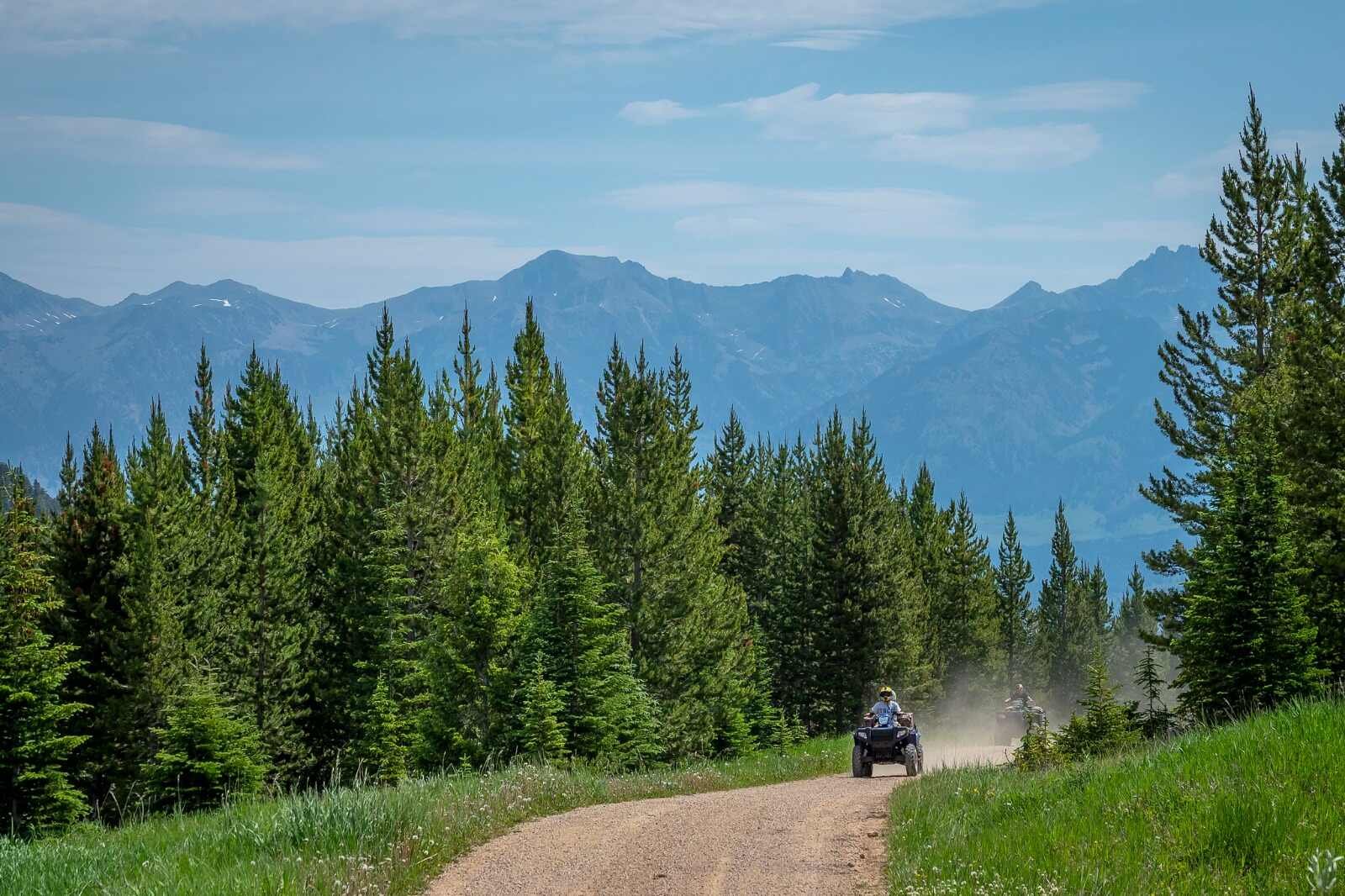 People ride ATVs down a forest trail with mountains in the background on a sunny day.