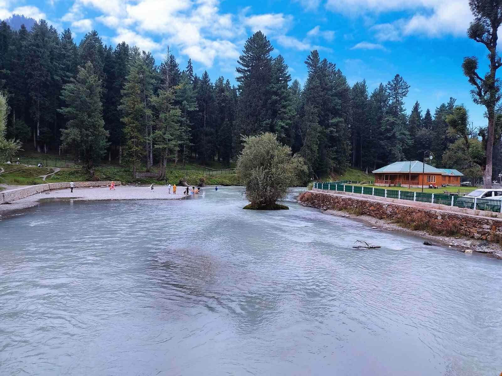 A peaceful river with people on a gravel island, surrounded by pine trees and a wooden cabin