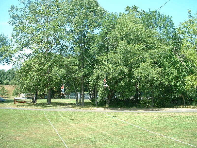 Two people are ziplining through a forested area on a sunny day, with tall green trees and an open grassy field below