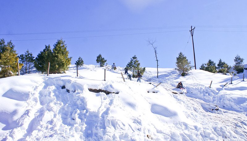 Snow-covered hill with people and pine trees in Patnitop
