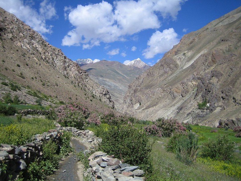 Narrow mountain path leading through green fields and wildflowers toward hidden villages in a nubra valley