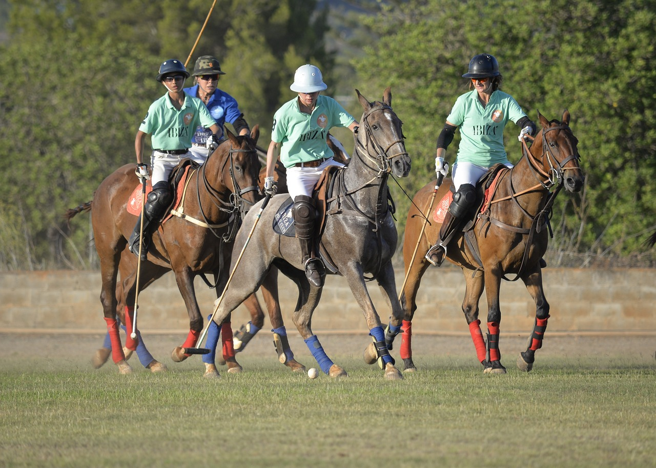 Polo players on horseback in action during a match at Turtuk Polo Ground