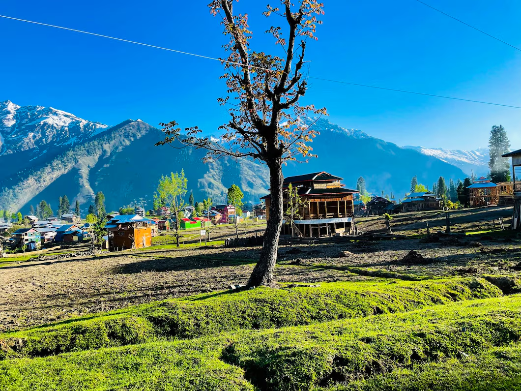 Traditional houses in Turtuk Village with farmland and snow-covered mountains