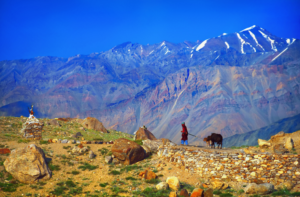 Leh Ladakh in September