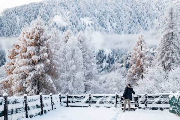 Winter in Kashmir with snow-covered trees and mountains.