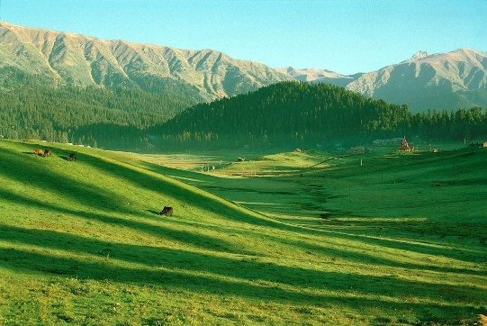 Green meadows of Gulmarg with mountain backdrop