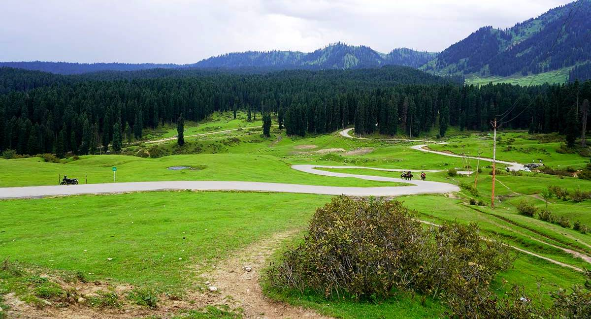 Lush green landscape during Pahalgam sightseeing with winding roads and pine forests