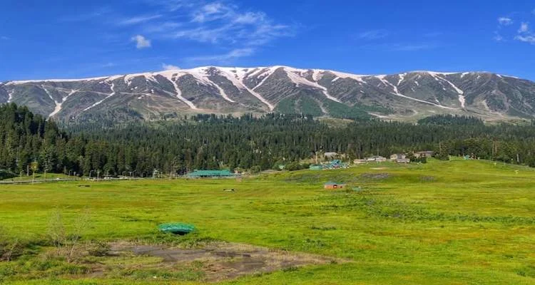 Gulmarg valley with green fields and snow-capped mountains