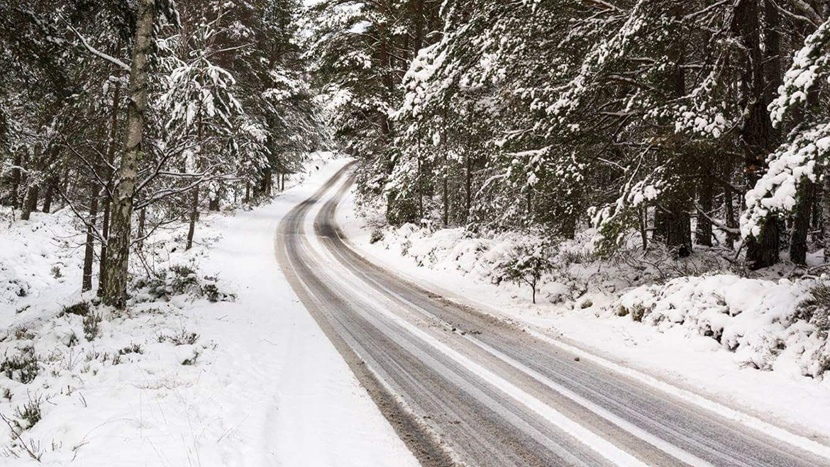Snow-covered road surrounded by pine trees, leading towards Gulmarg in winter