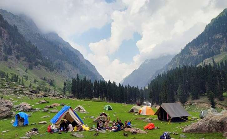Colorful tents pitched on a green meadow surrounded by mountains and pine trees in kashmir valley