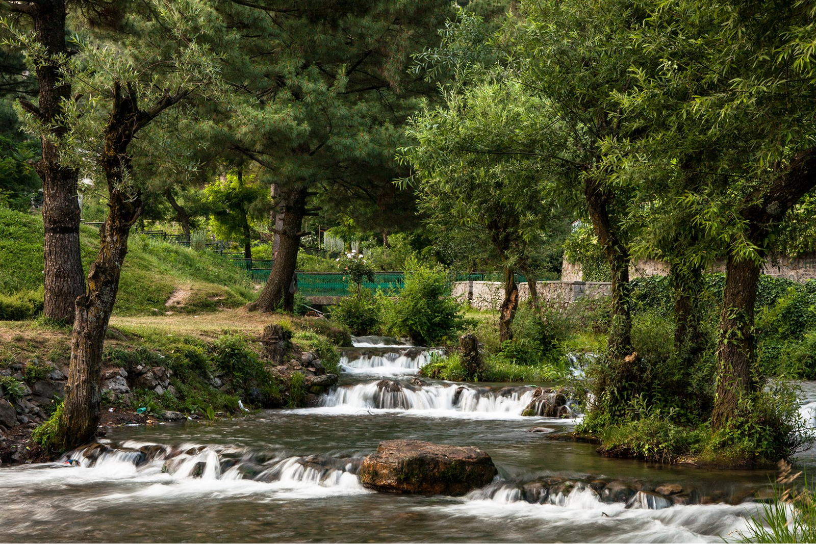 Flowing stream surrounded by trees and greenery in Kokernag