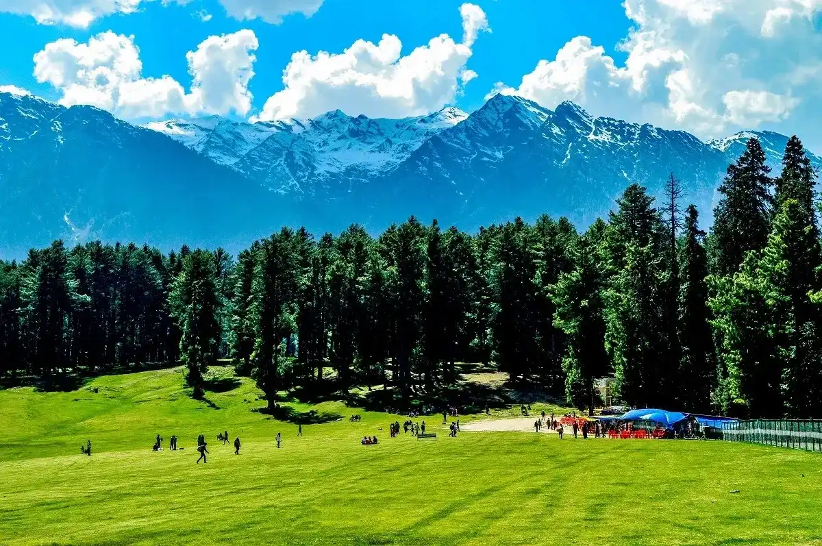 Lush green valley in Kashmir during March to April with snow-capped mountains