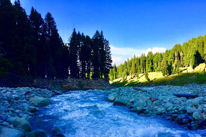Crystal clear river flowing through rocky terrain with dense pine trees and lush green slopes in Doodhpathri