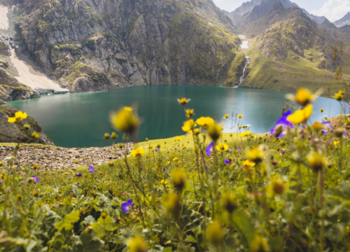 ❄️ Experience the Magic of Kashmir This Season! 🌸🏔️